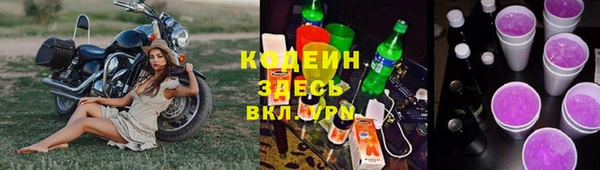 прущий лед Богданович