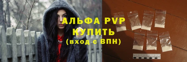 прущий лед Богданович