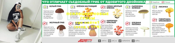 стафф Бородино