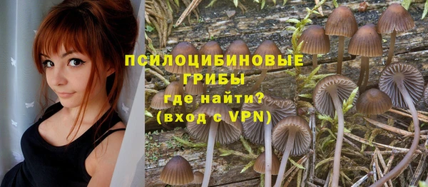 прущий лед Богданович