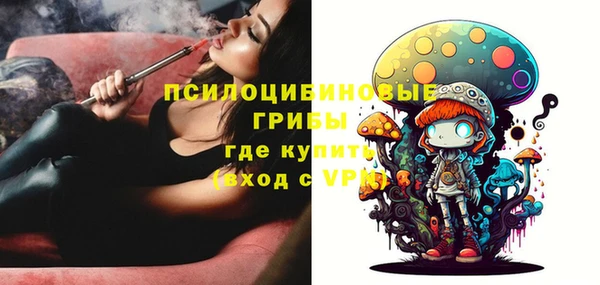 прущий лед Богданович