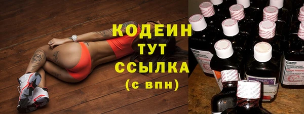 твердый Сатка
