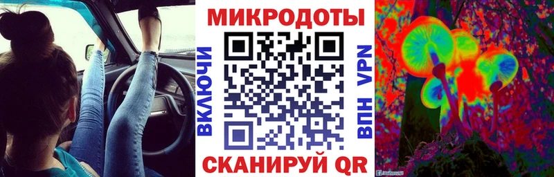 Псилоцибиновые грибы Psilocybine cubensis  Борзя 