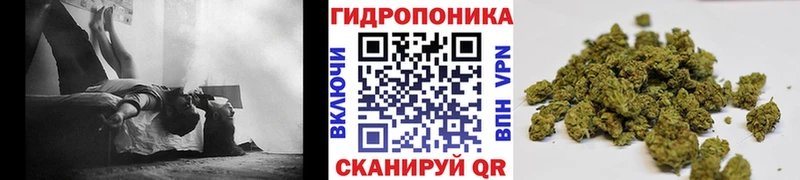 Бошки Шишки SATIVA & INDICA  что такое наркотик  Борзя 